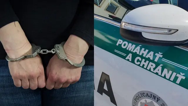 Huslista zo Slovenska pohrýzol vo Viedni policajta (ilustračná foto).